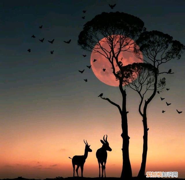 容易上热门的人生感悟文案有哪些