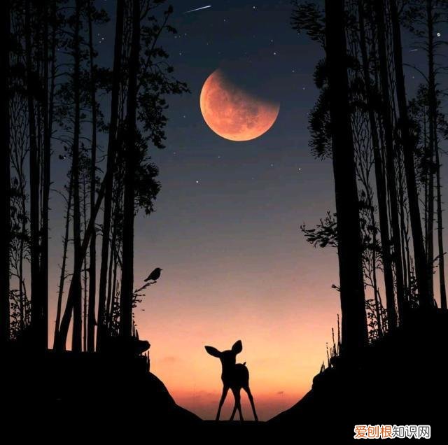 容易上热门的人生感悟文案有哪些