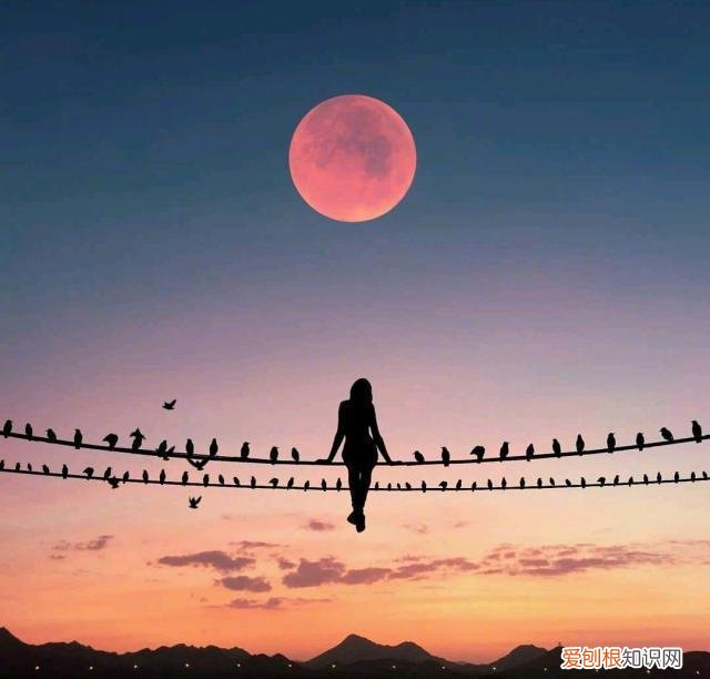 容易上热门的人生感悟文案有哪些