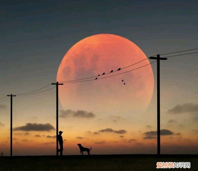 容易上热门的人生感悟文案有哪些