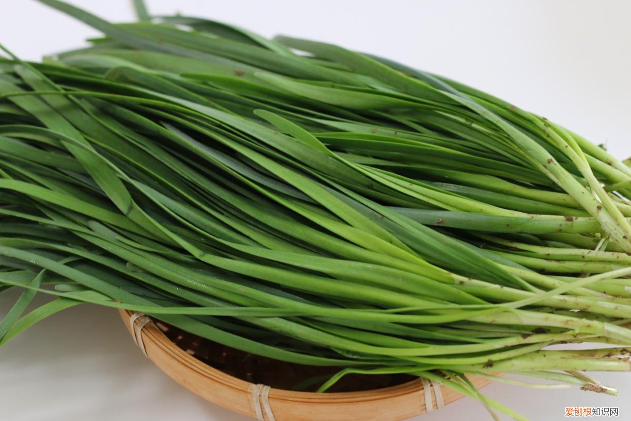 韭菜包子冷水上锅蒸多久 韭菜鸡蛋馅包子需要蒸几分钟