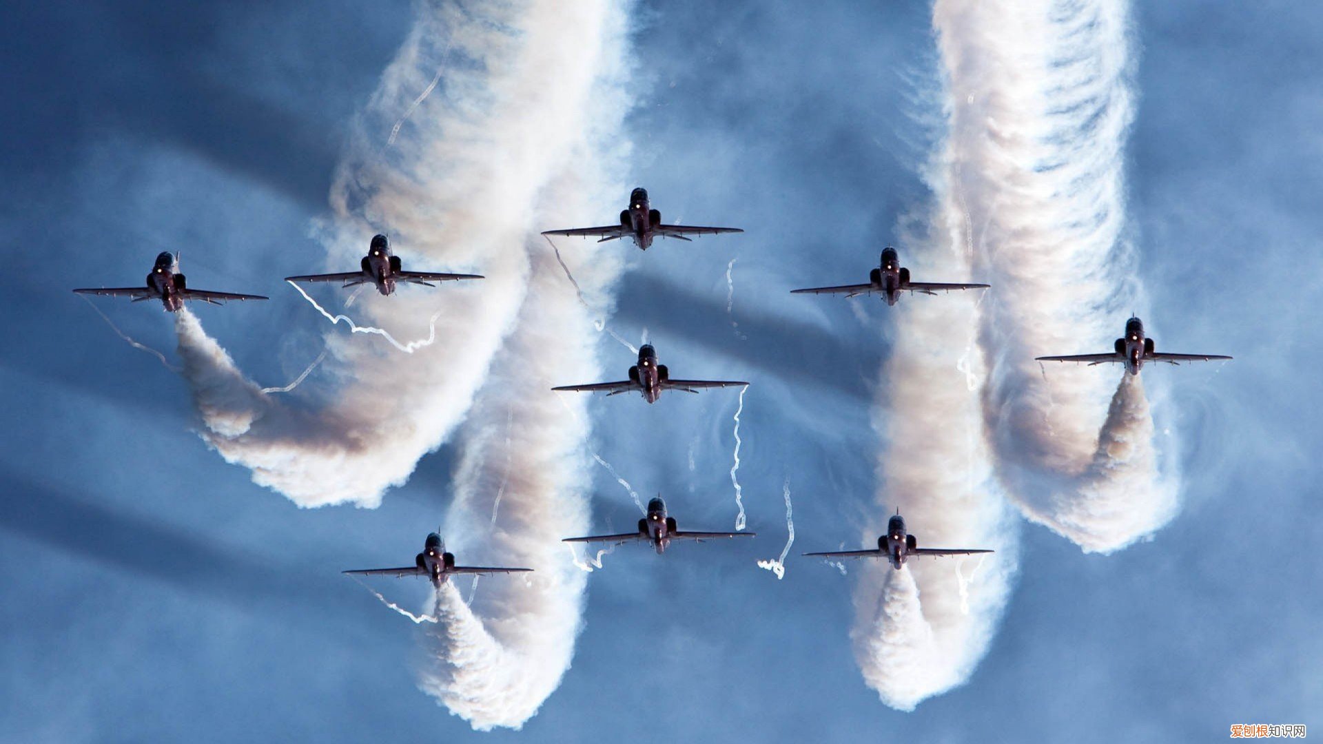 酸枣仁泡水喝的五大禁忌 酸枣仁怎样吃治失眠效果好