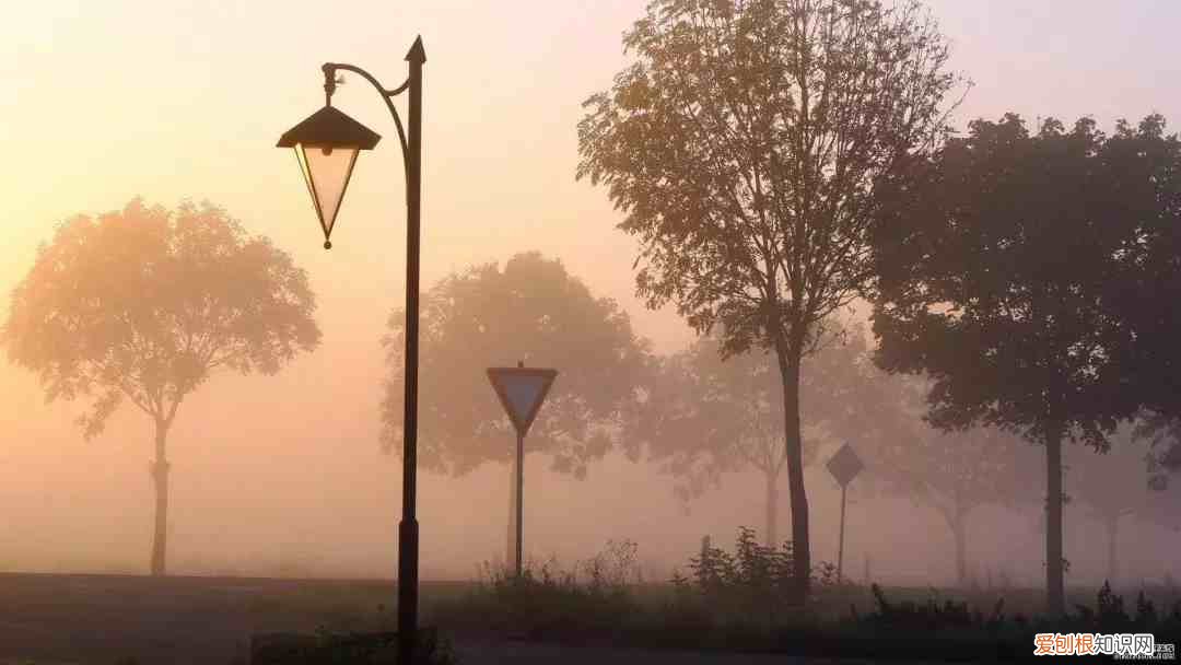 常用表达方式都在这里 表达方式有哪些