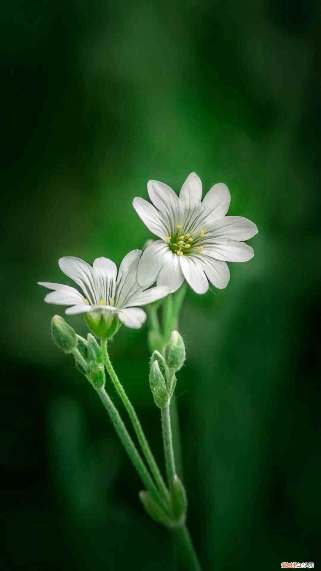 常用表达方式都在这里 表达方式有哪些