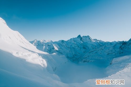 磋商是什么意思,竞争性磋商与公开招标