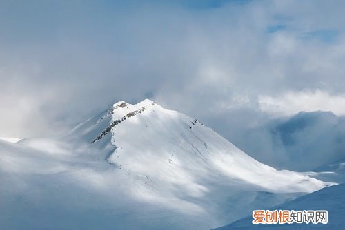 磋商是什么意思，竞争性磋商与公开招标