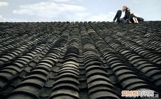 屋顶歌词 歌曲屋顶完整歌词