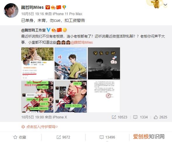 魏哲鸣的妻子王岚有多大?魏哲鸣妻子王岚的个人资料