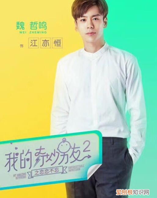 魏哲鸣的妻子王岚有多大?魏哲鸣妻子王岚的个人资料