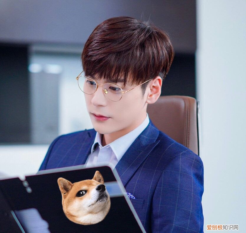 魏哲鸣的妻子王岚有多大?魏哲鸣妻子王岚的个人资料