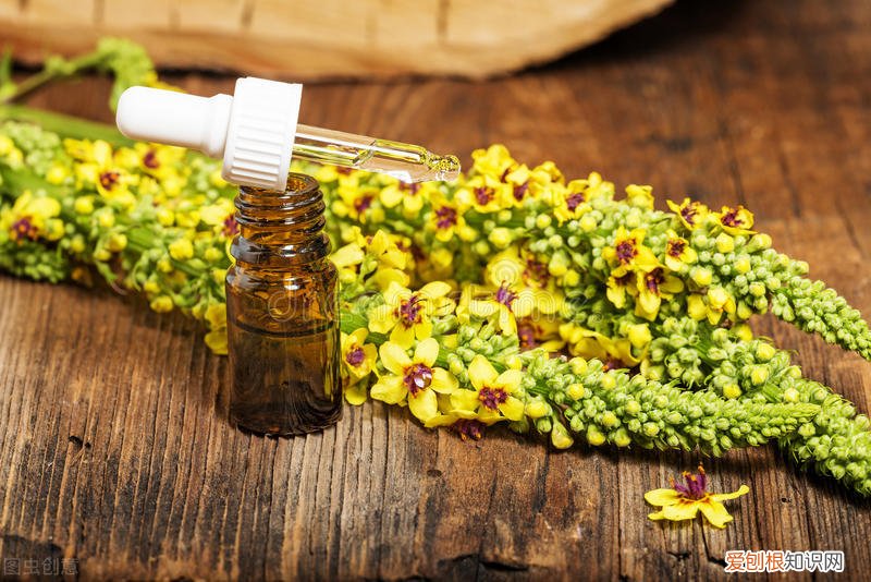 教你三招，翠绿好吃又不苦 苦瓜怎么炒好吃又不苦