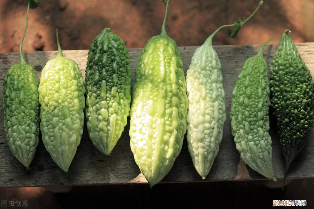 教你三招，翠绿好吃又不苦 苦瓜怎么炒好吃又不苦