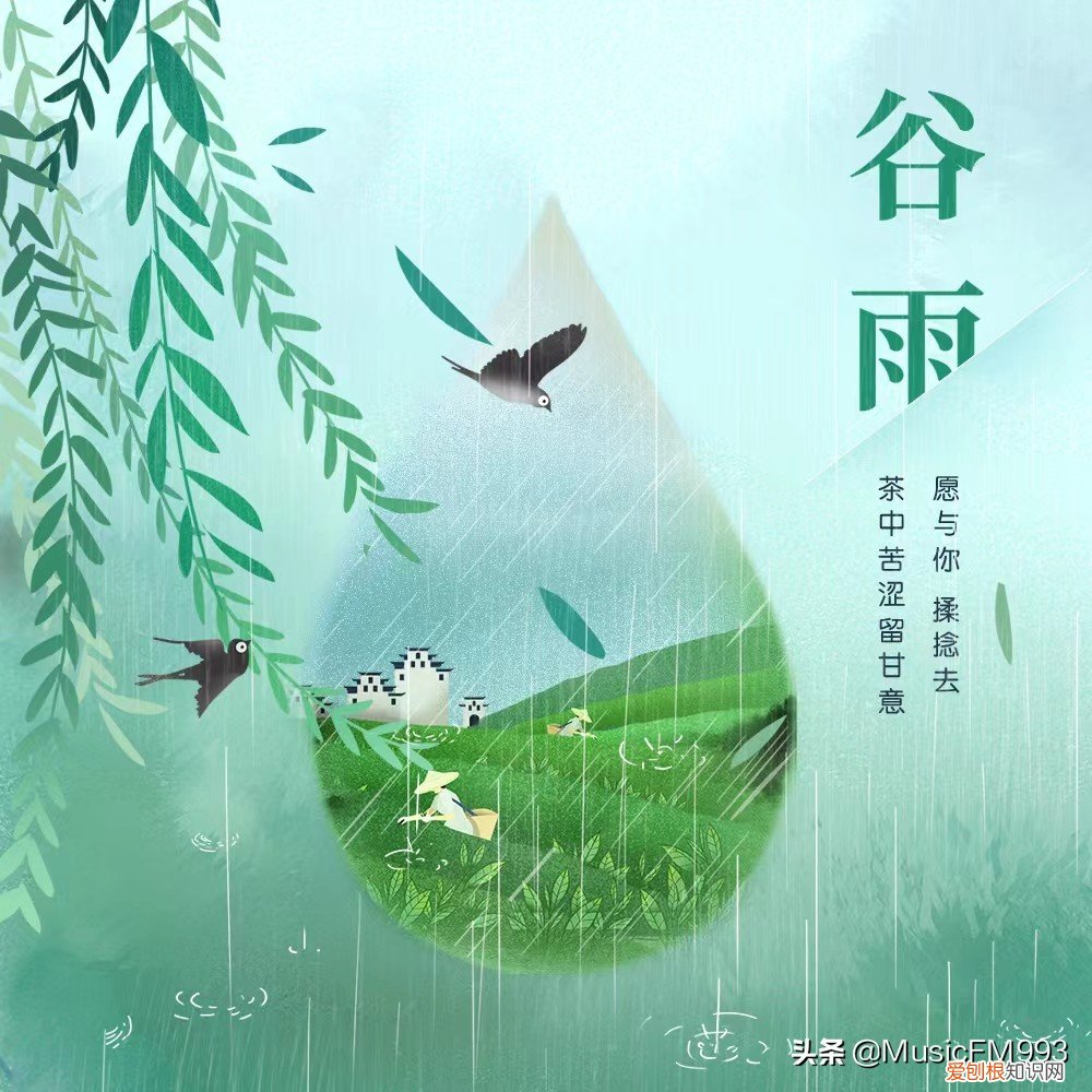 谷雨的歌曲 关于谷雨的歌曲