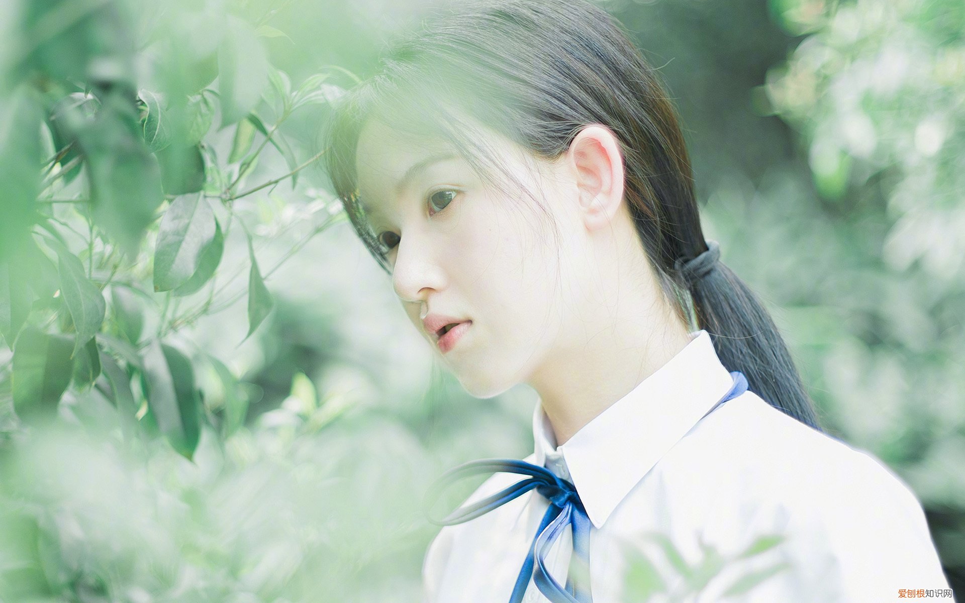 节气小满的起源和故事 小满节气的起源和传说