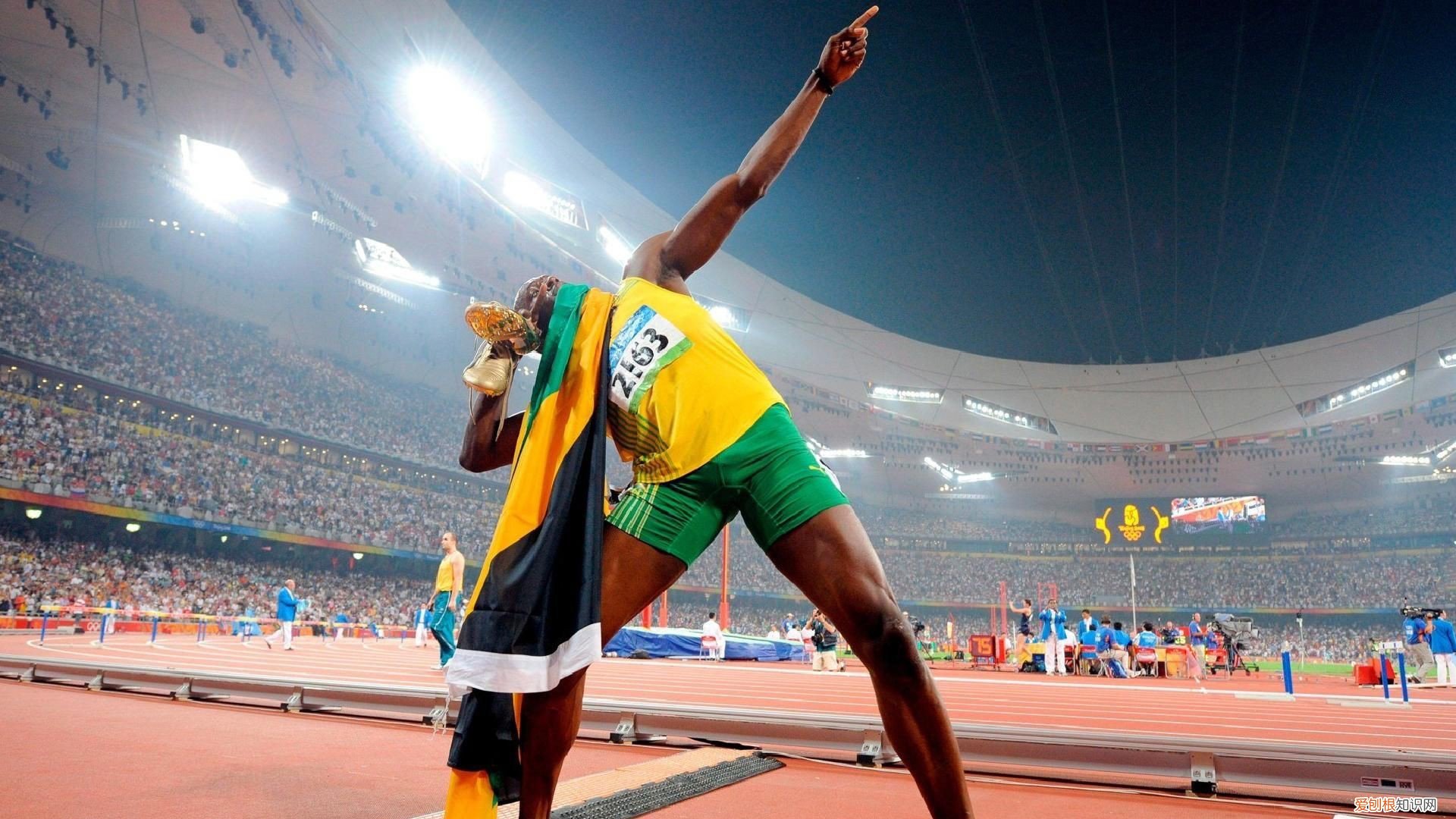 各个人物角色关系详解 女士的法则演员表