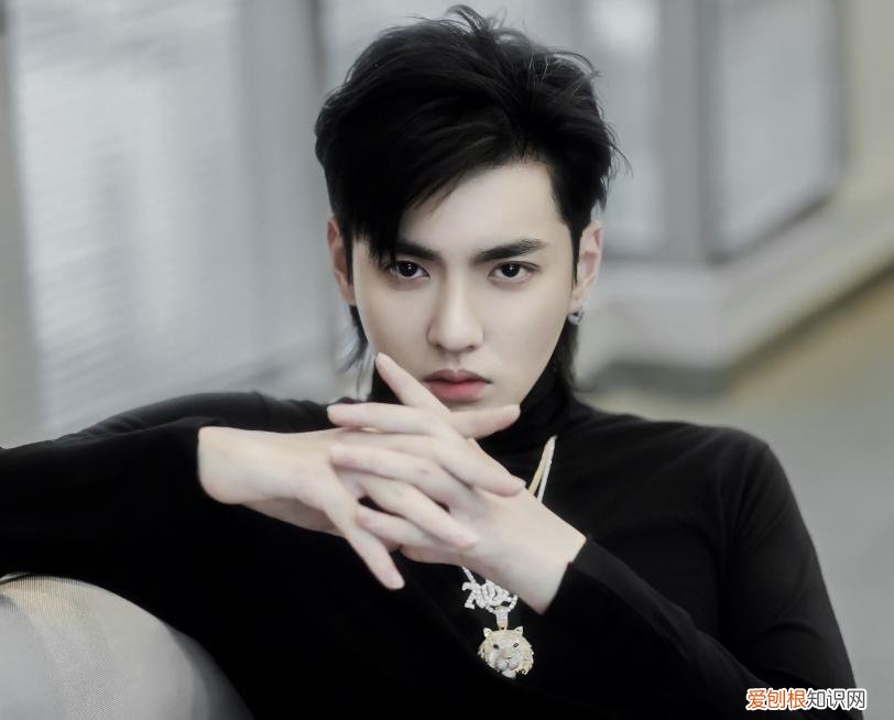 吴亦凡有多少个亿?此前吴亦凡被曝光30亿资产