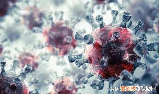 火山爆发恒星相撞人类被毁灭？ 2022年最吓人的预言