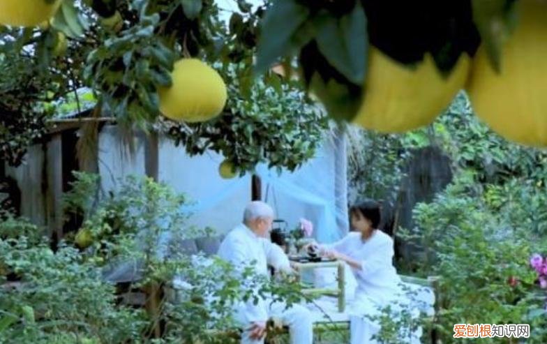 李子柒家到底住在哪里？李子柒“豪宅”全景曝光