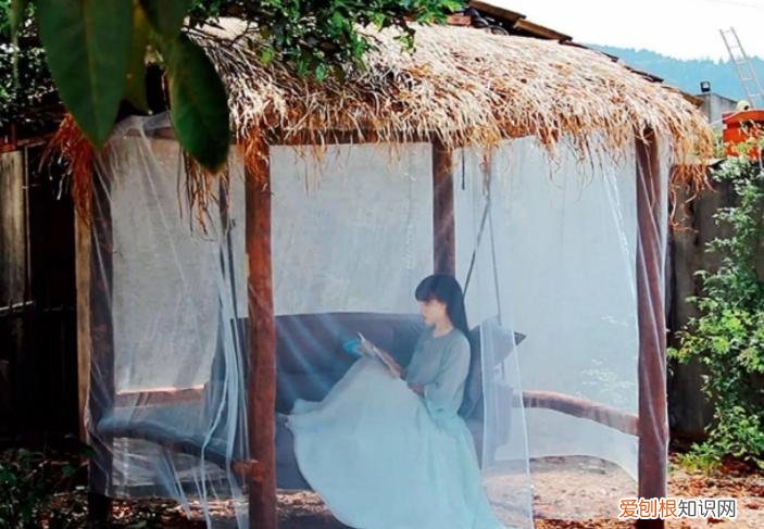 李子柒家到底住在哪里？李子柒“豪宅”全景曝光