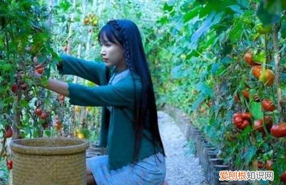 李子柒家到底住在哪里？李子柒“豪宅”全景曝光