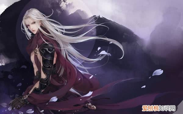 每本老书虫都极力推荐 4本已完结的玄幻小说