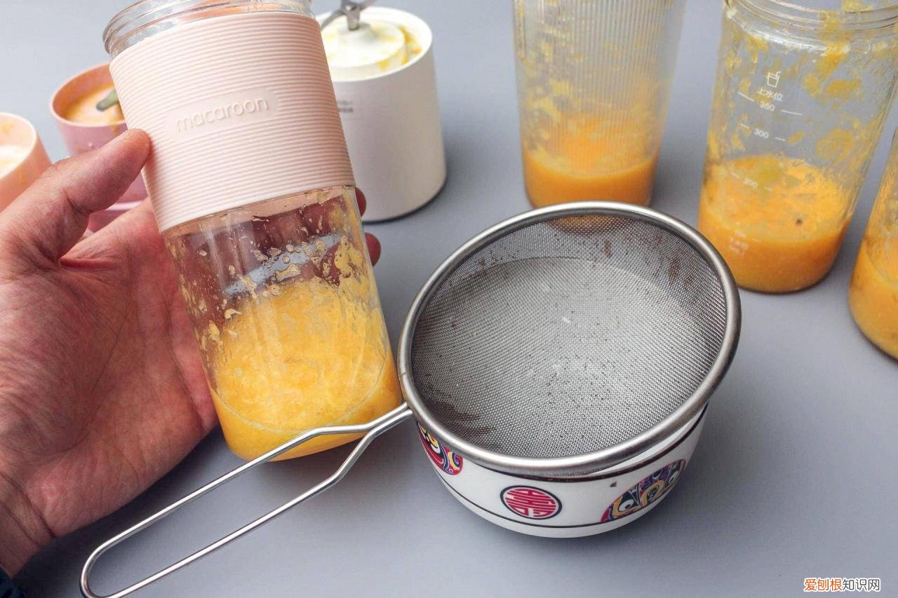 最好的榨汁机是哪个牌子 什么牌子果汁机比较好