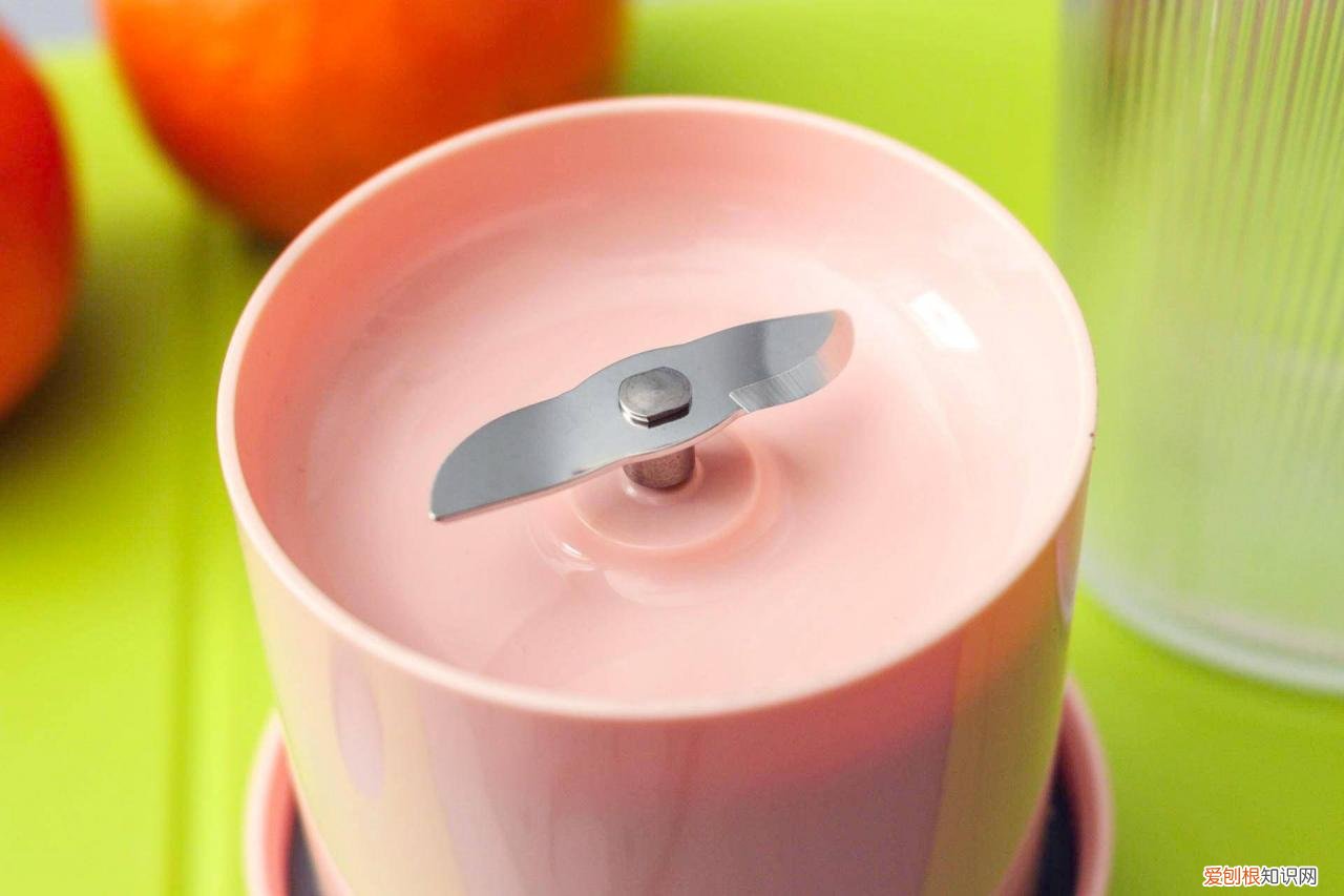 最好的榨汁机是哪个牌子 什么牌子果汁机比较好