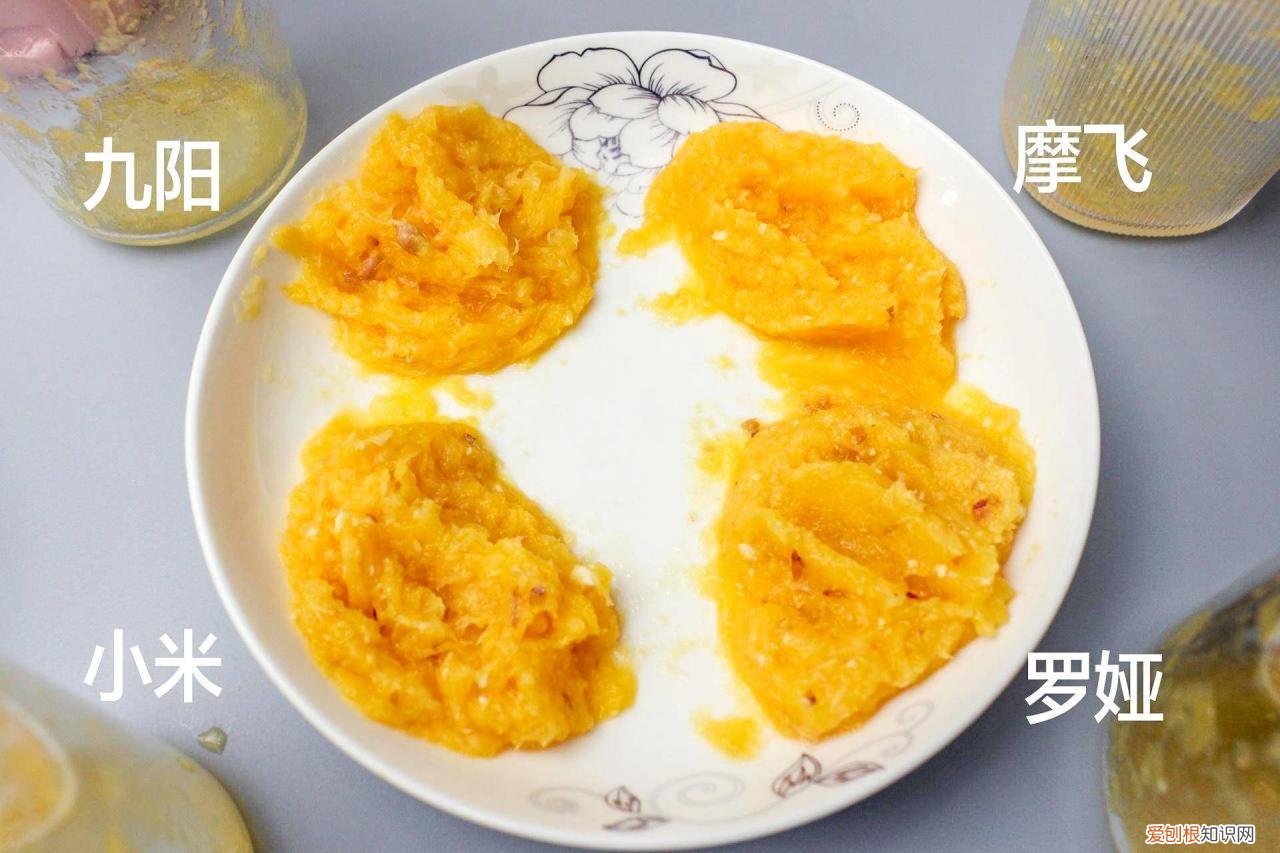 最好的榨汁机是哪个牌子 什么牌子果汁机比较好