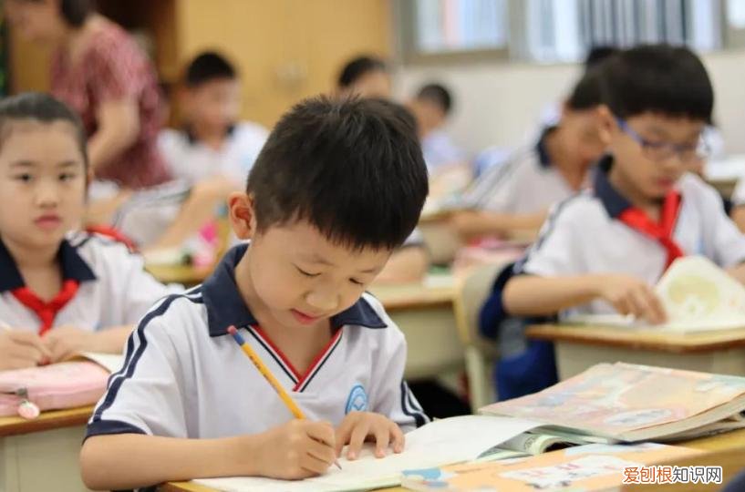 为什么不建议孩子去私立学校？原因一般家长想不到