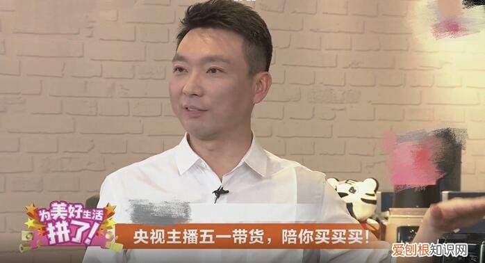 康辉消失原因曝光 康辉为什么被央视解雇原因