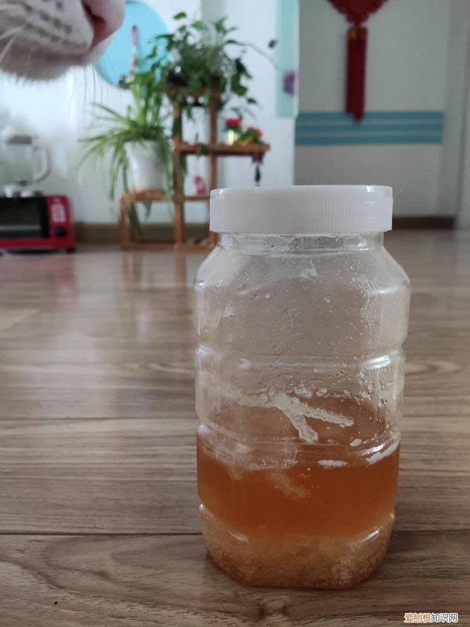 3块钱一斤的蜂蜜是真的吗 蜂蜜多少钱一斤