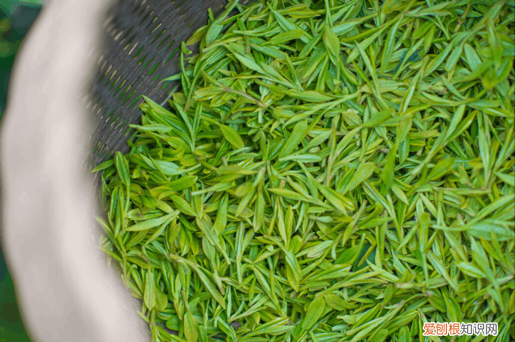 中国十大名茶,谁才是“茶中之王”呢?