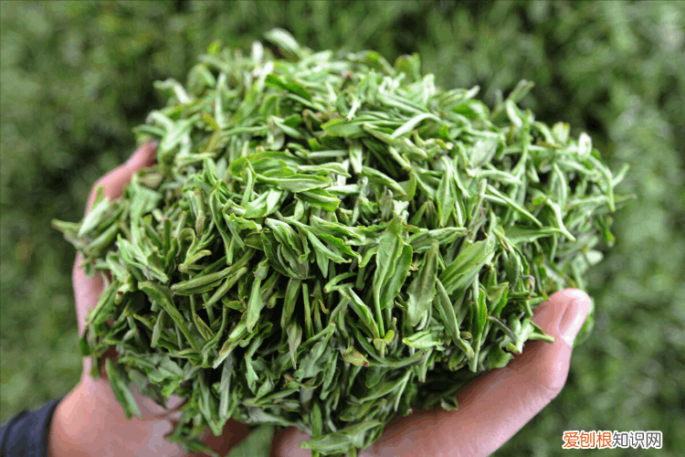 中国十大名茶,谁才是“茶中之王”呢?