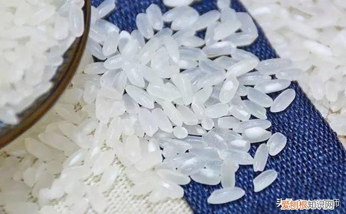 大米保质期一般是多久？真空大米能存放三年吗