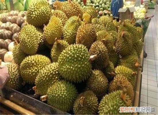 榴莲不熟要怎么放才能熟？这三技巧可以补救