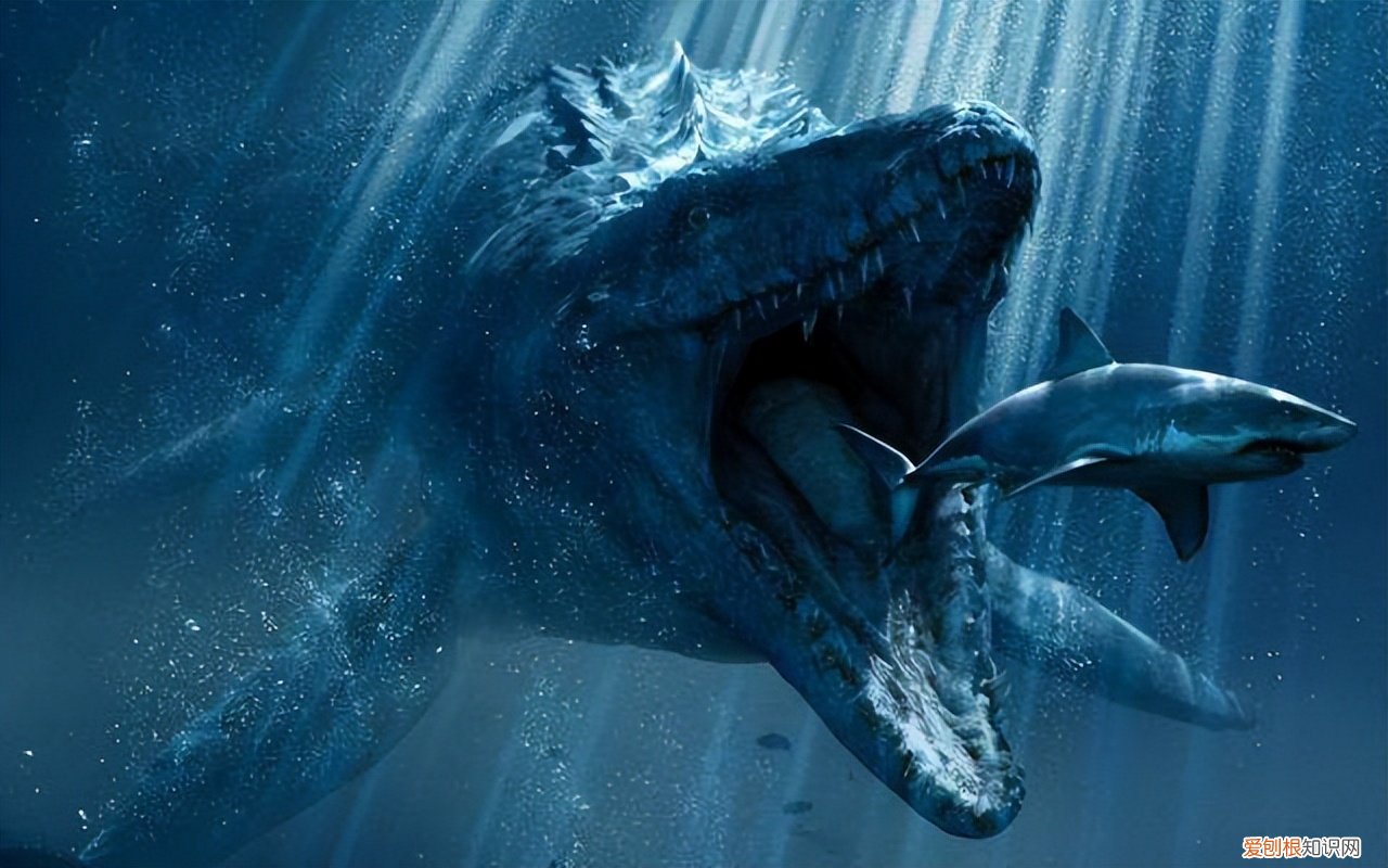 鬼鲨鱼是什么样子的?专家:鬼鲨!为何深海鱼大都很丑