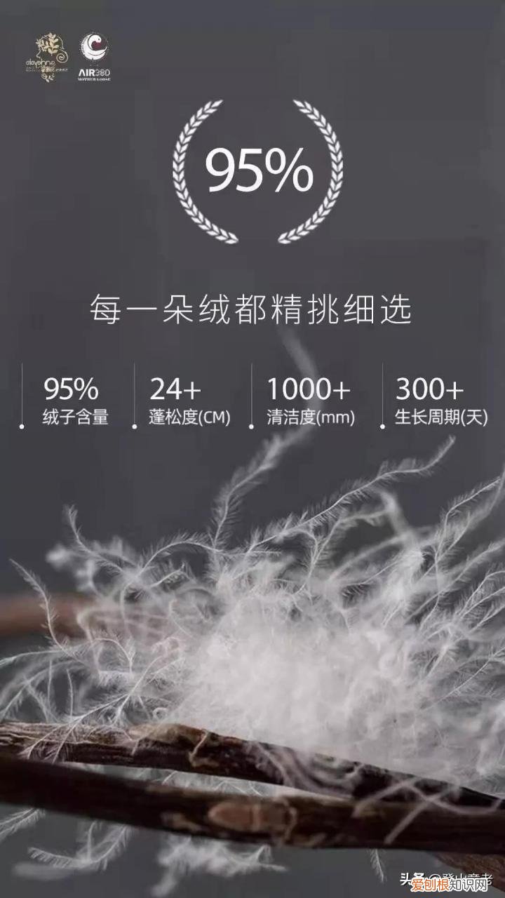 蚕丝被的缺点是什么？ 蚕丝被怎么洗涤和保养方法