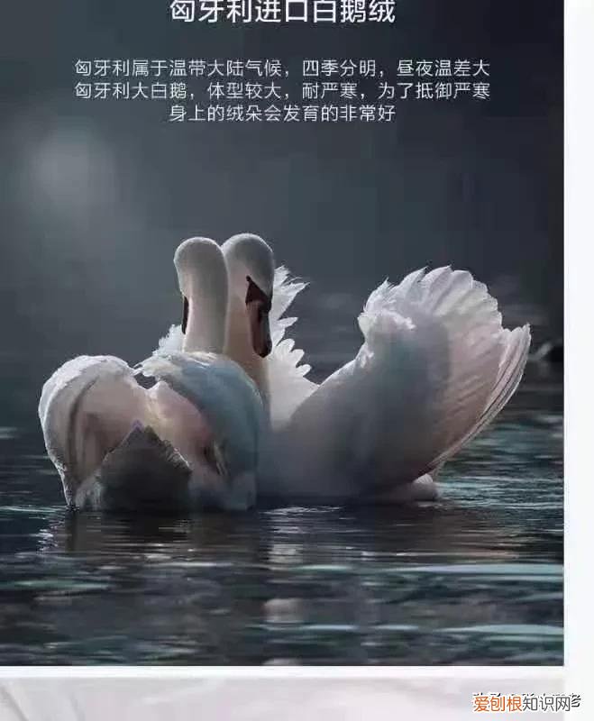 蚕丝被的缺点是什么？ 蚕丝被怎么洗涤和保养方法
