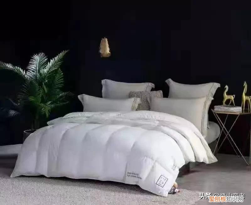 蚕丝被的缺点是什么？ 蚕丝被怎么洗涤和保养方法