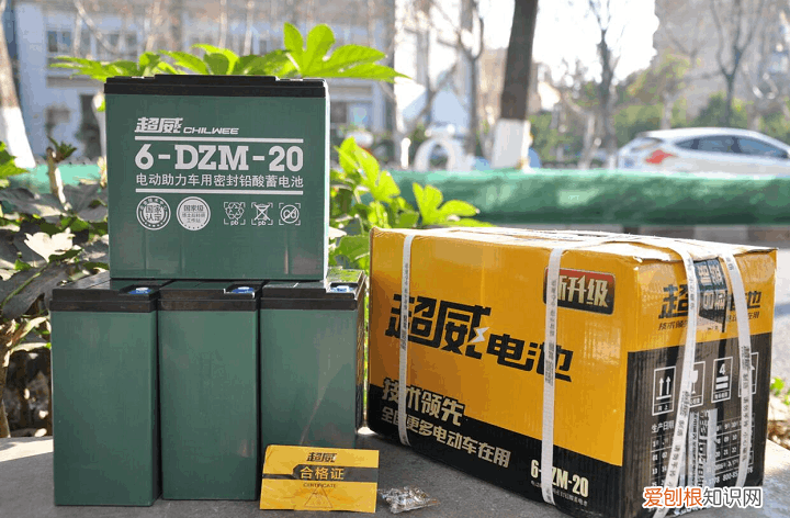 排名前十对比 中国电动车十大名牌排行榜