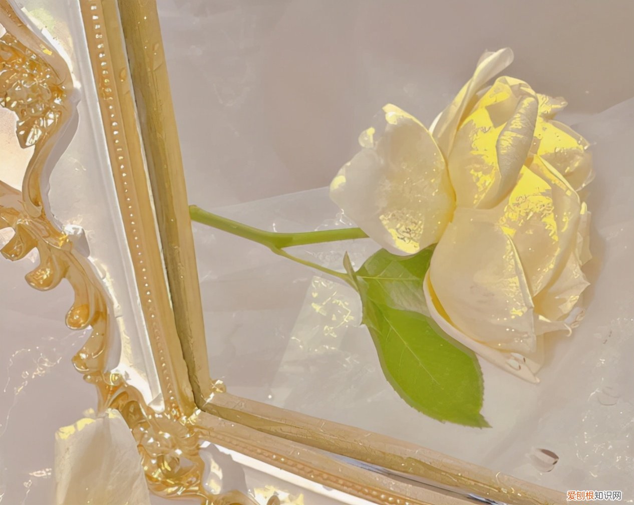 高级又温柔的文案 温柔干净无关爱情的句子