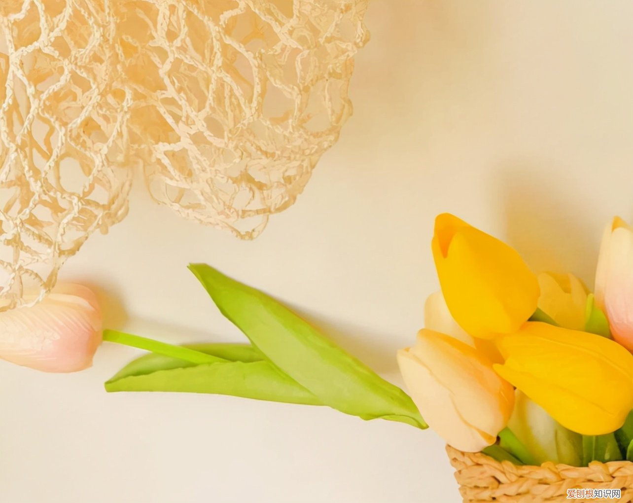 高级又温柔的文案 温柔干净无关爱情的句子