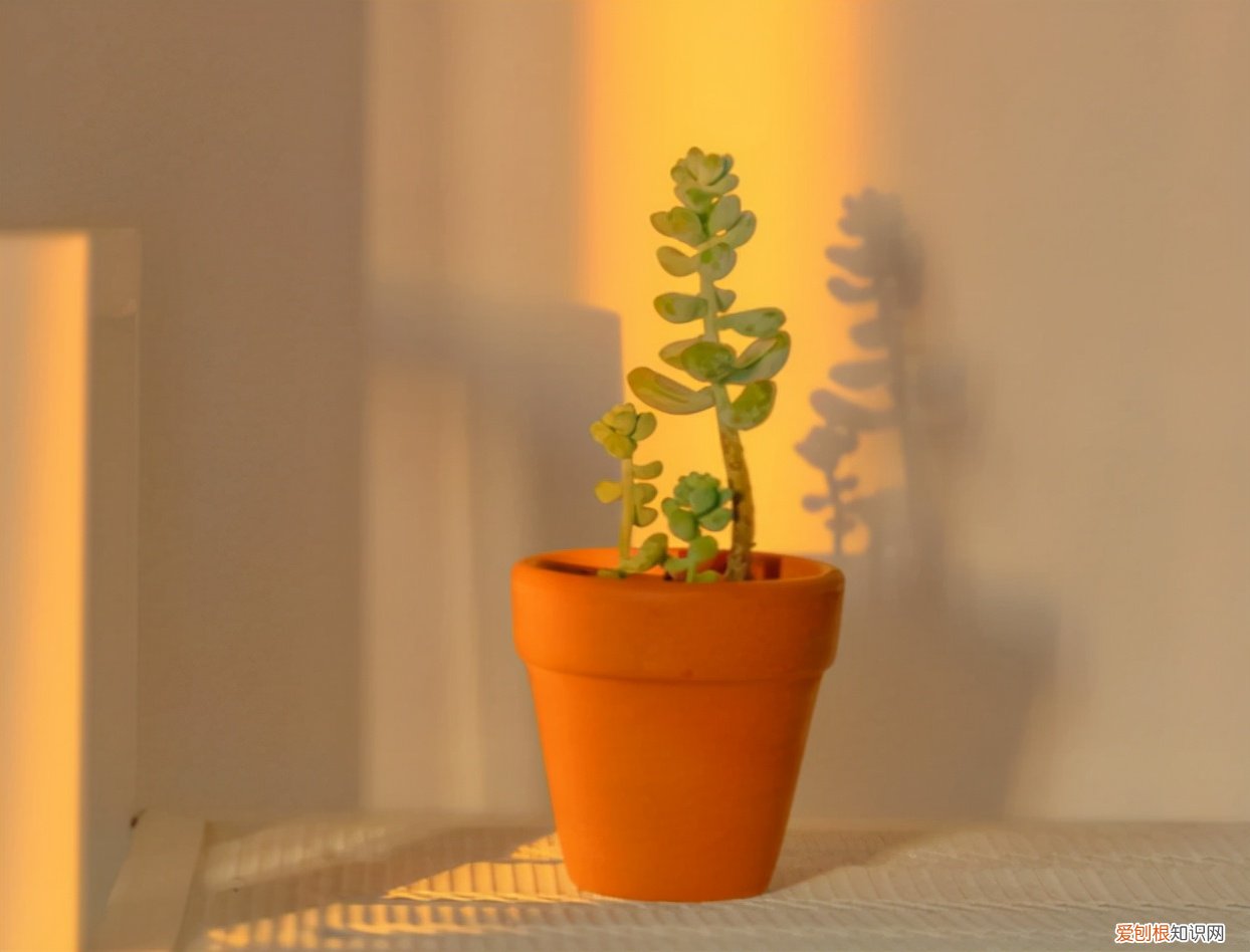 高级又温柔的文案 温柔干净无关爱情的句子