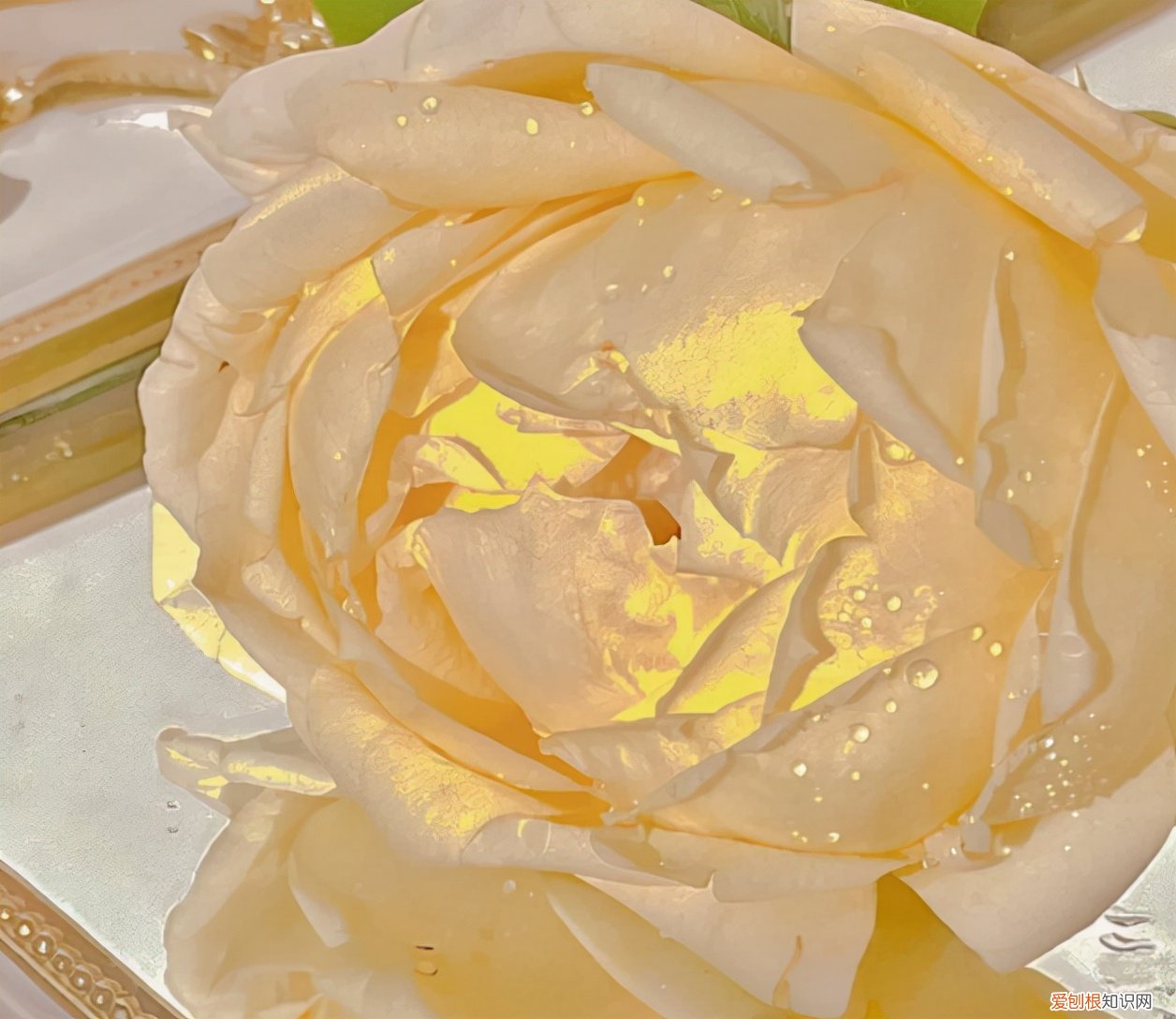 高级又温柔的文案 温柔干净无关爱情的句子