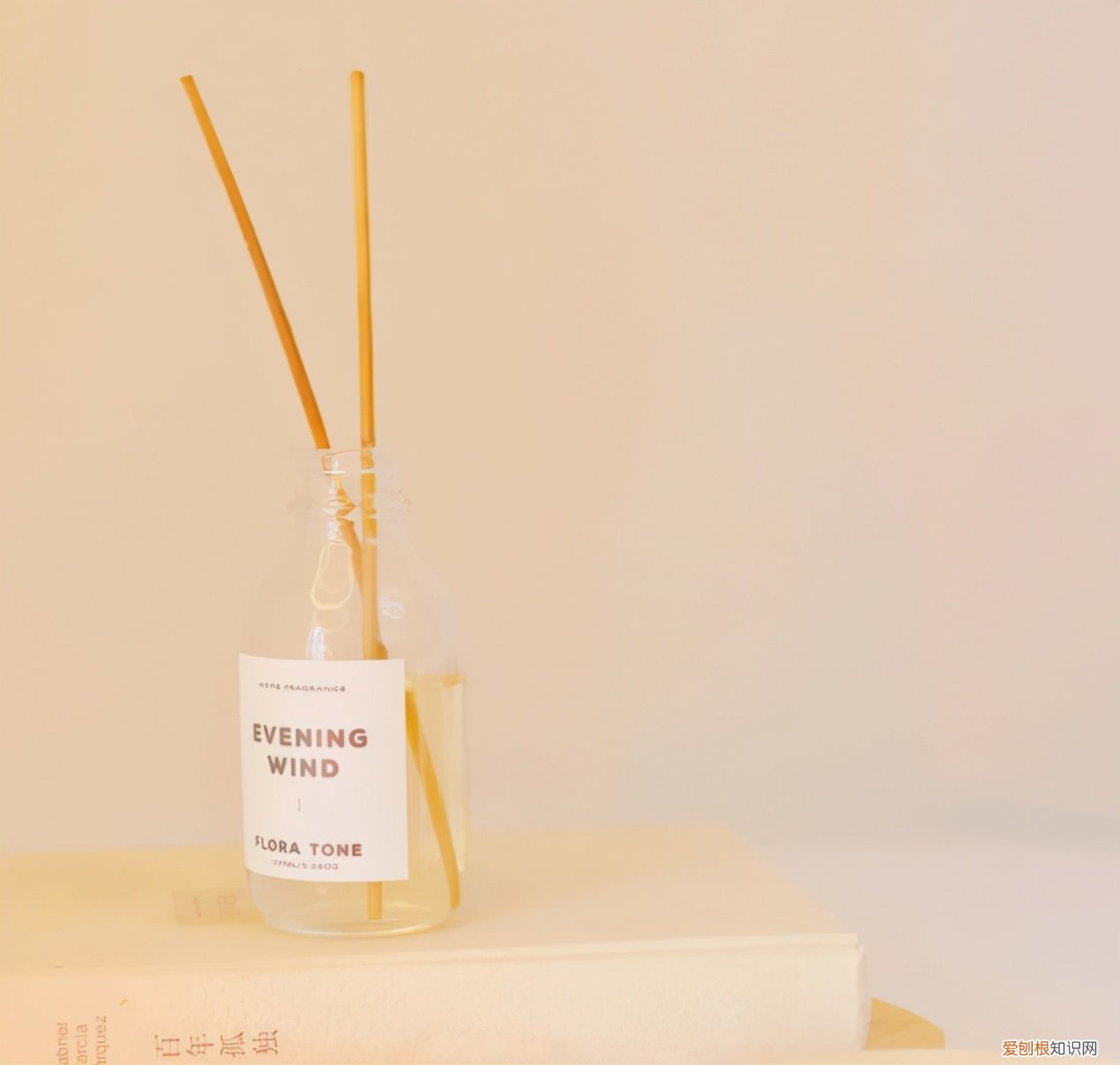 高级又温柔的文案 温柔干净无关爱情的句子