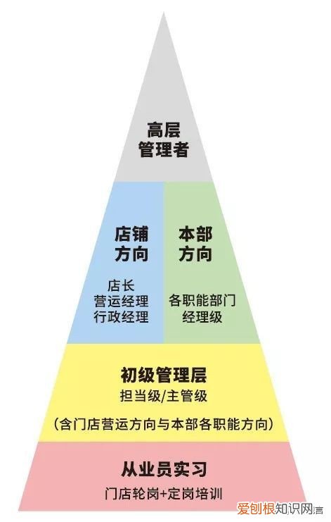 管培生是什么意思?不清楚这四点,容易吃亏