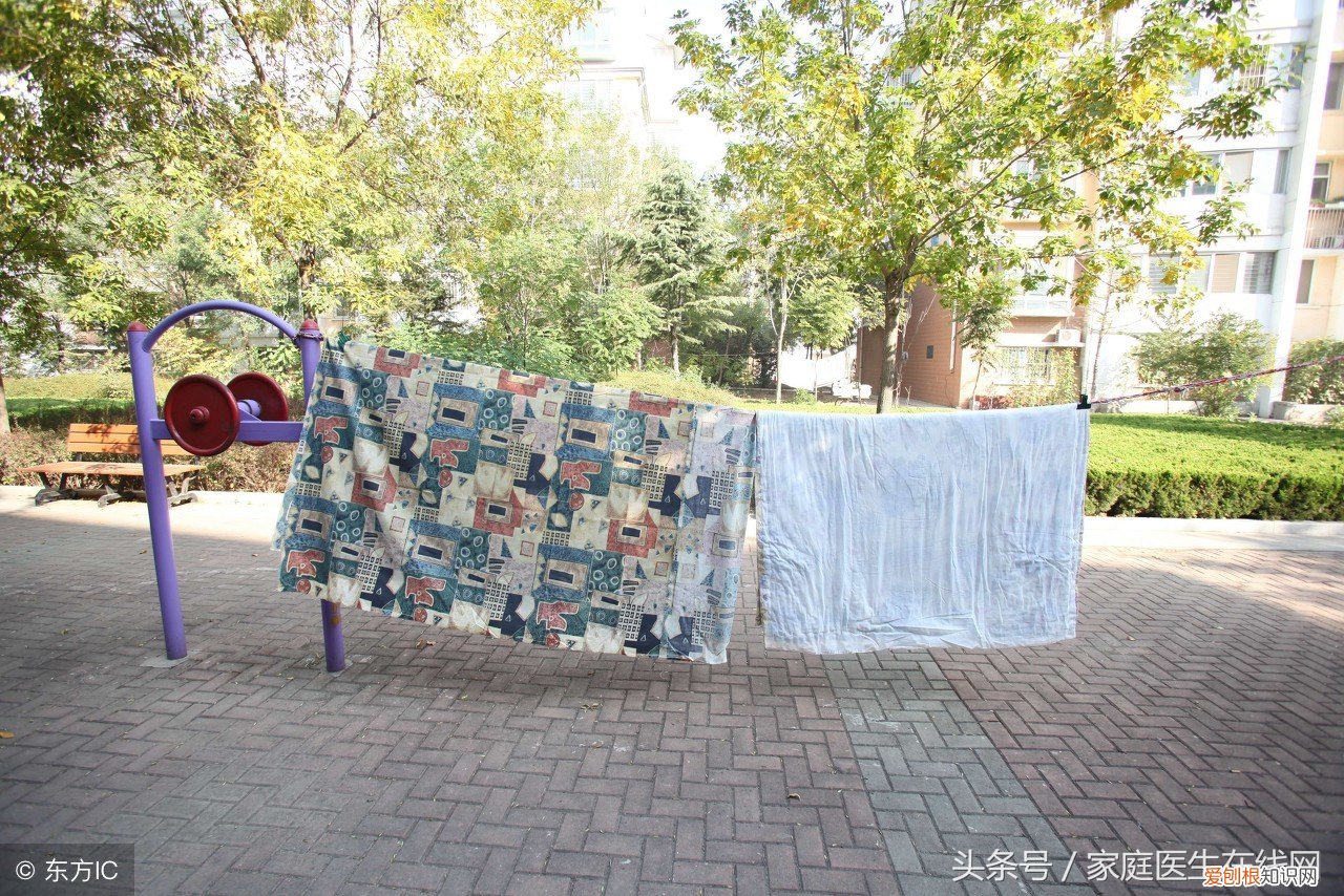 3招助你“消灭”螨虫 螨虫最怕这3种东西