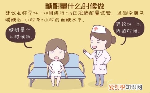 糖耐多少周做最合适?详细答案还附标准