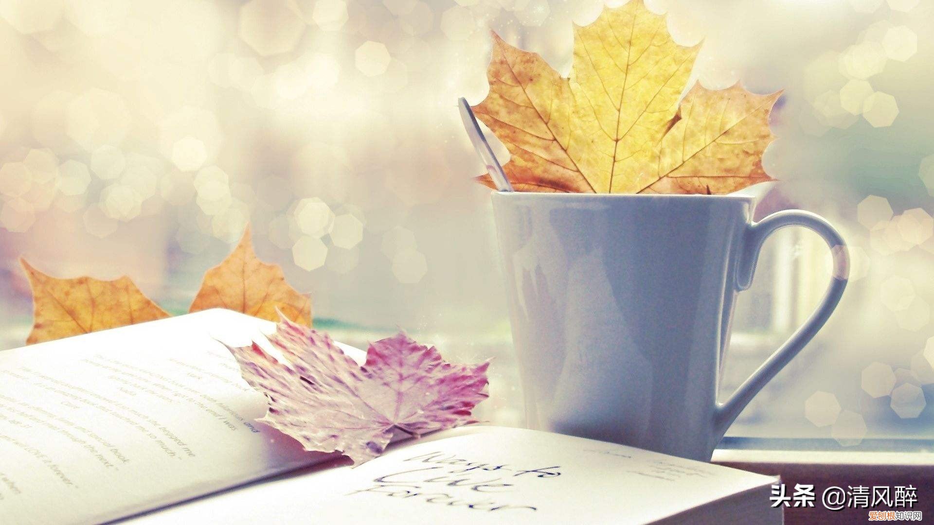 不油腻的生日说说文案 低调成熟点的生日句子