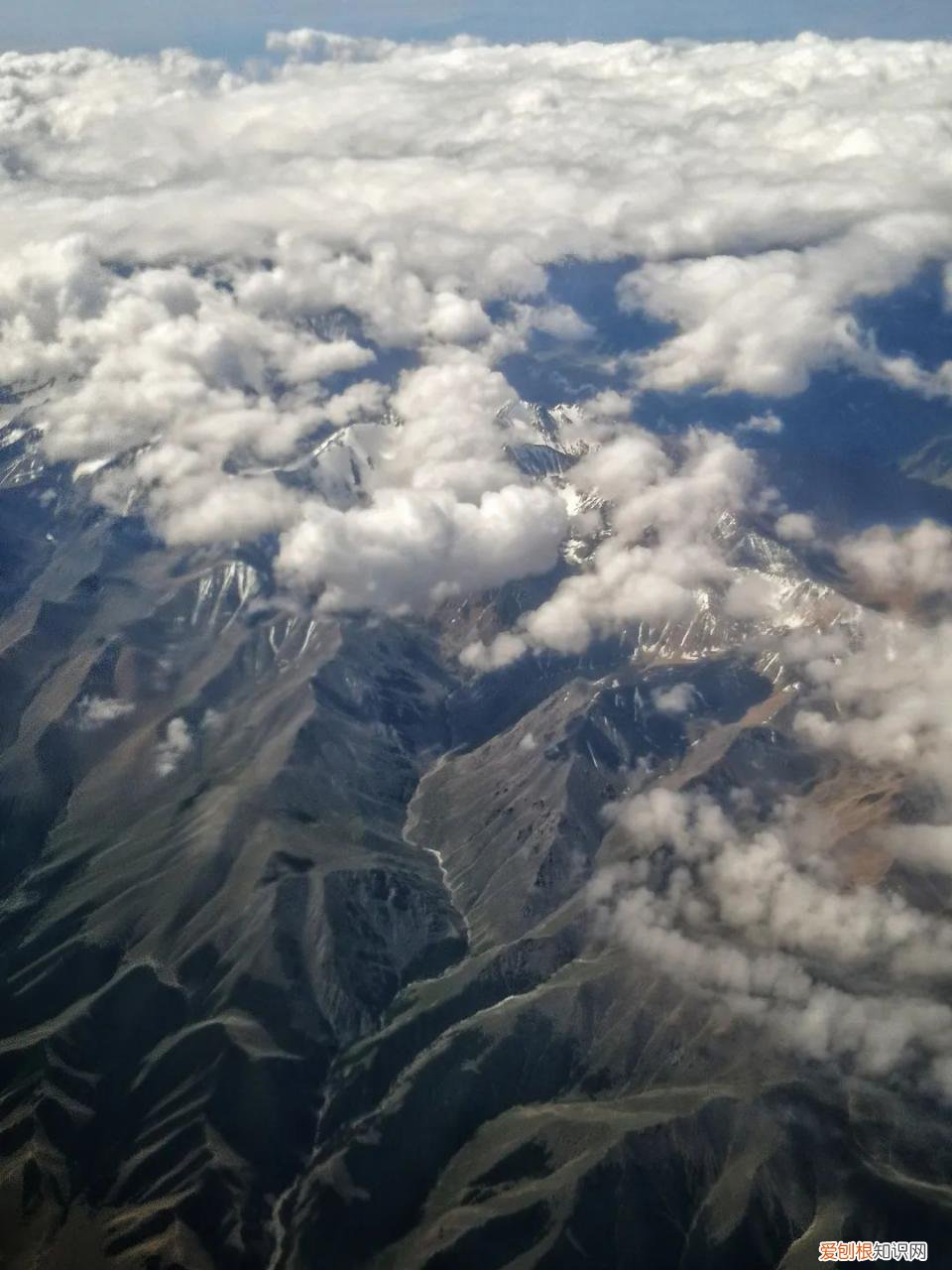 737飞机选座图解 737飞机座位分布图